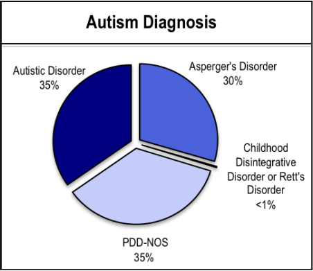 Autism Diagnosis