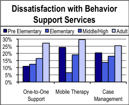 Behavior Support Services