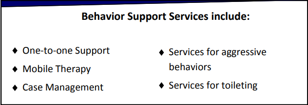 Behavior Support