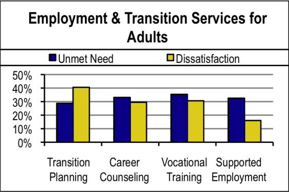 Employment Transition Services For Adults