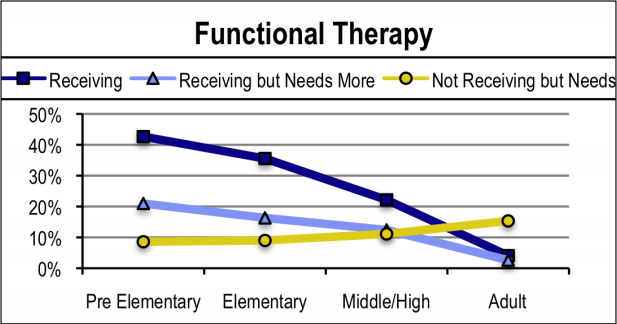 Functional Therapy 2