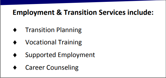 Transition Services