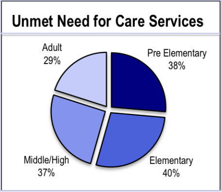 Unmet Need for Care Services