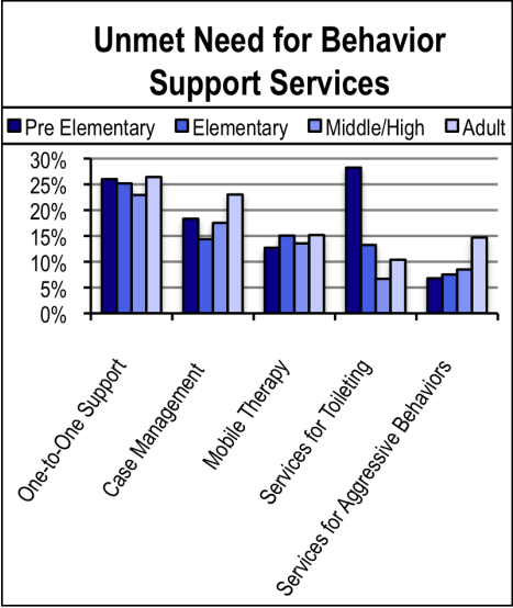 Unmet Need For Behavior Support Services